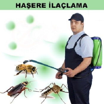 Osmaniye Böcek İlaçlama